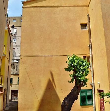 Frane 515