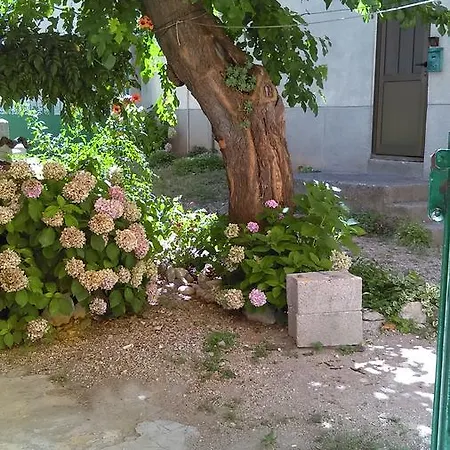 Frane 515 Sibenik