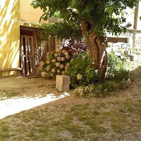 Frane 515 * Sibenik