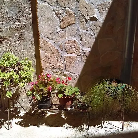 Frane 515 * Sibenik